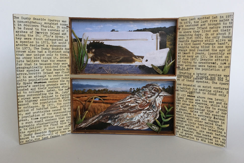 Remembering: The Dusky Sparrow