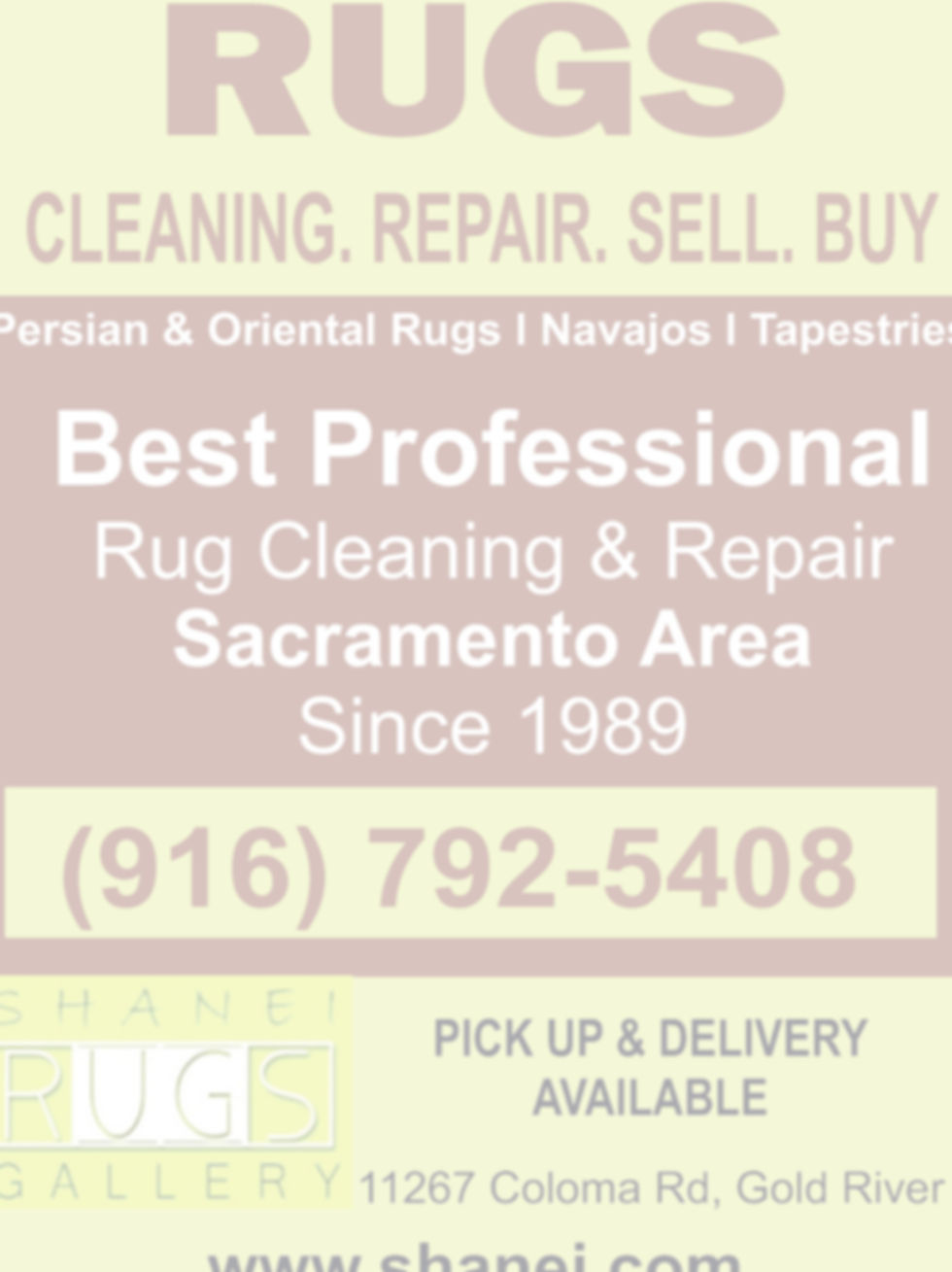 Shanei Rug Services Coupon_edited.jpg