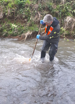 Macroinvertebrate kick sample