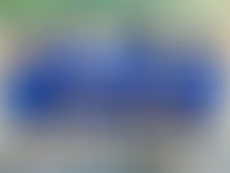 Protecting Democracy