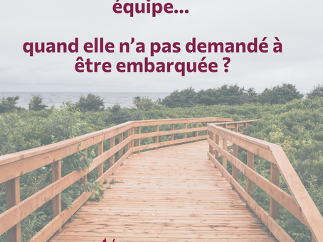 Vous arrivez en cours de route dans un gros projet ? Comment faire ?