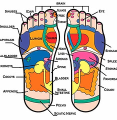 Foot-Reflexology.jpg