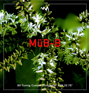 Mub 22.75 B String.png
