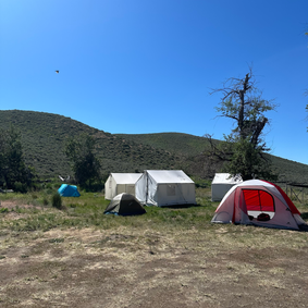 Research at Rinker Rock Creek Ranch