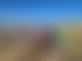 George Wright Society ParkForum