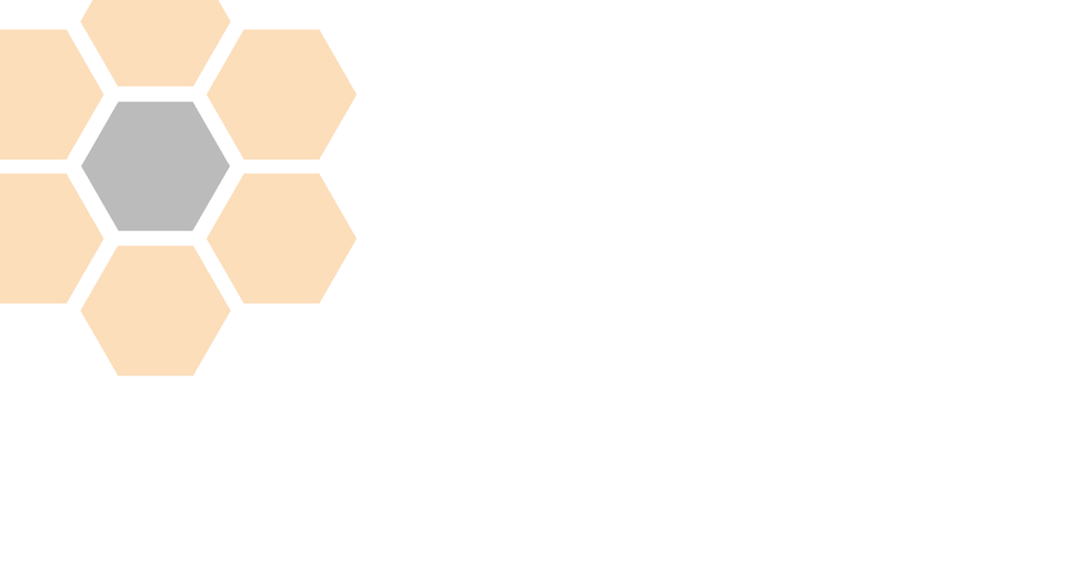 hdls_honeycomb_icon_02.png