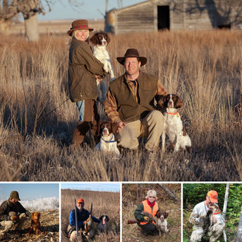 Spaniels In The Field
