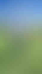 Jeff with his ribbon