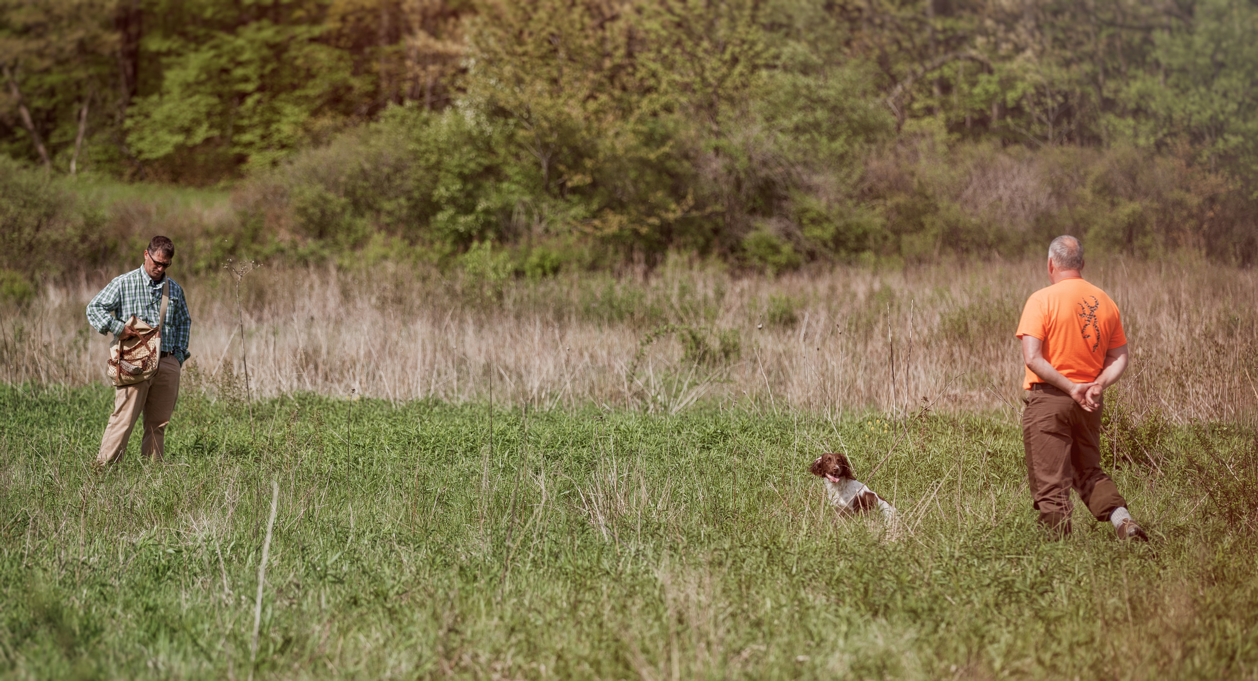 Daily Training For Gun Dogs & Hunt Tests