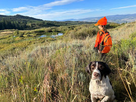 Up The Mountain We Go For Grouse!