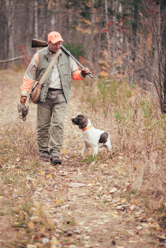 grouse and woodcock hunting-Todd Agnew-gun dogs