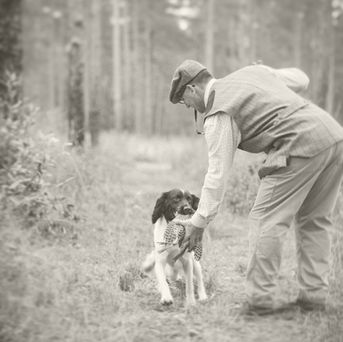 We Provide Specialized Spaniel Training At Our Facility In Georgia & In Northern Michigan.