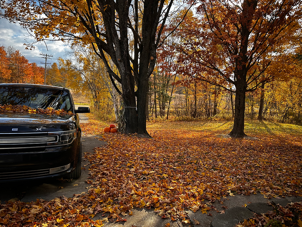 Fall day in northern MI