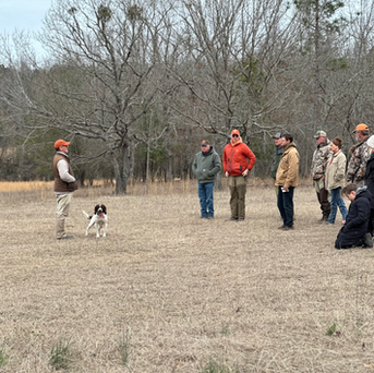 "Highlights from Our Spaniel Training Seminar 2024"