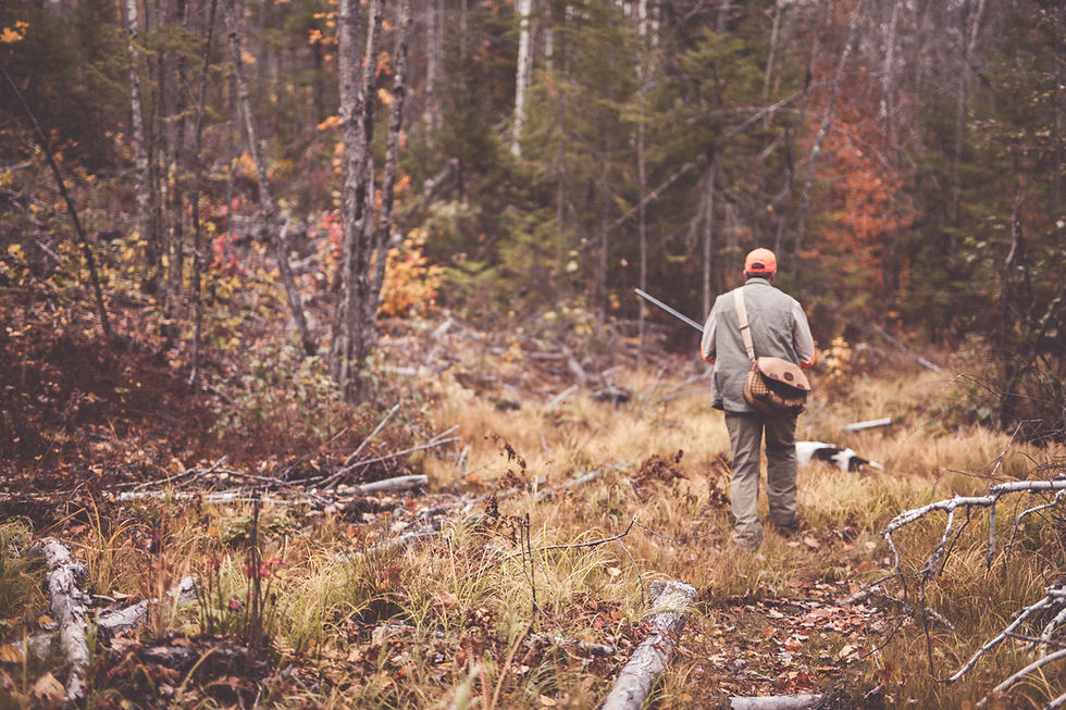 Scott and Lincoln Grouse Hunting