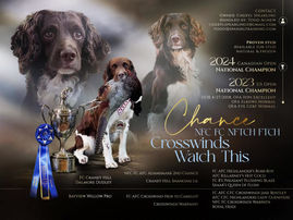 Developing Puppy Prospects!!