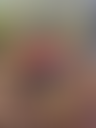 Tales of Grouse Camp 2024: A Week in the Woods With Our Clients and Spaniels