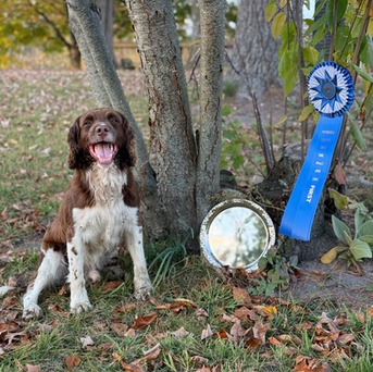 Miles Traveled, Lessons Learned, Bonds Strengthened: The Final Springer Trials