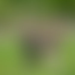 New Podcast Is Out!!