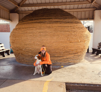 Rudy, Bridget and Ball of twine