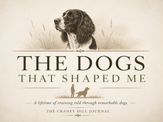 The Dogs That Shaped Me