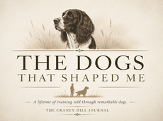 The Dogs That Shaped Me
