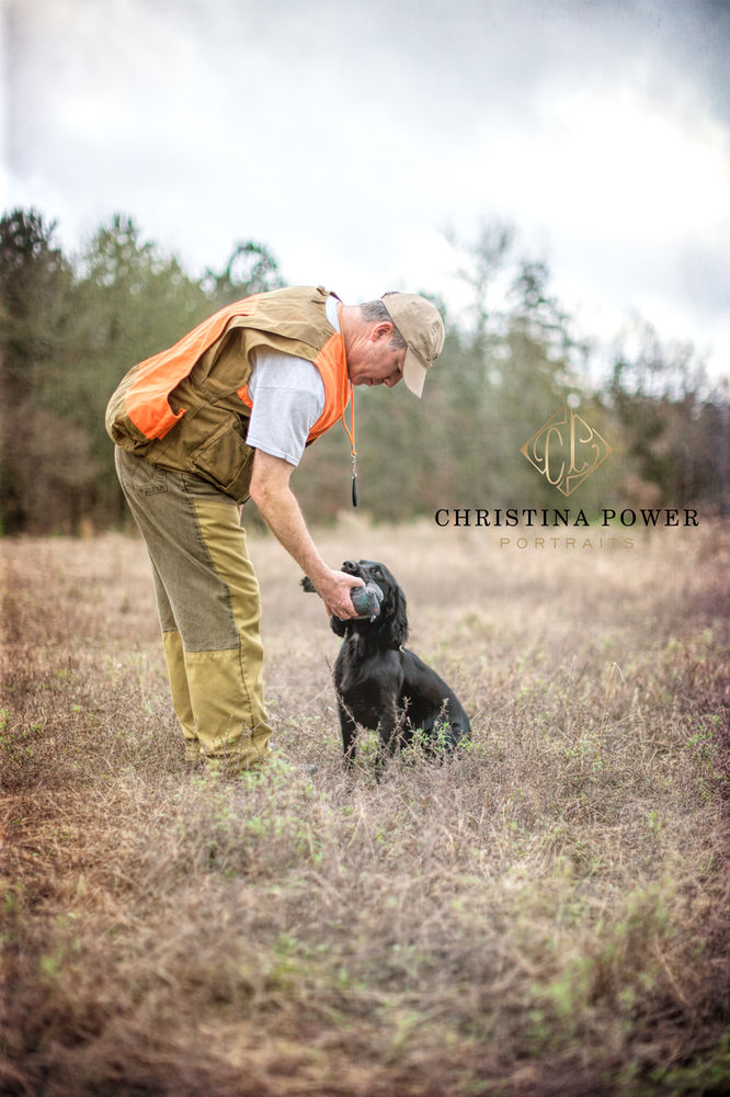 Gun Dog Training 101