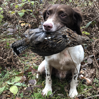 Dudley With His Grouse!