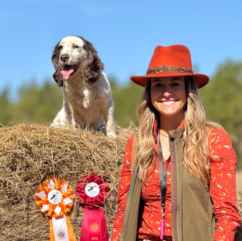cocker spaniel , field trials, Gracie and Meg