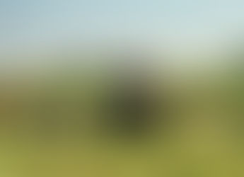 conditioning gun dogs