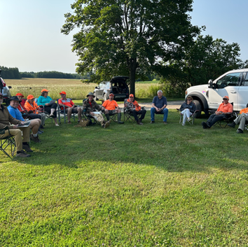 Spaniel Training Workshop
