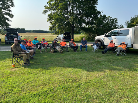 Spaniel Training Workshop