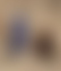 English Cocker Spaniel