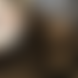 "5 Weeks In: The Growth of Tilly x Chance Springer Spaniels Puppies"