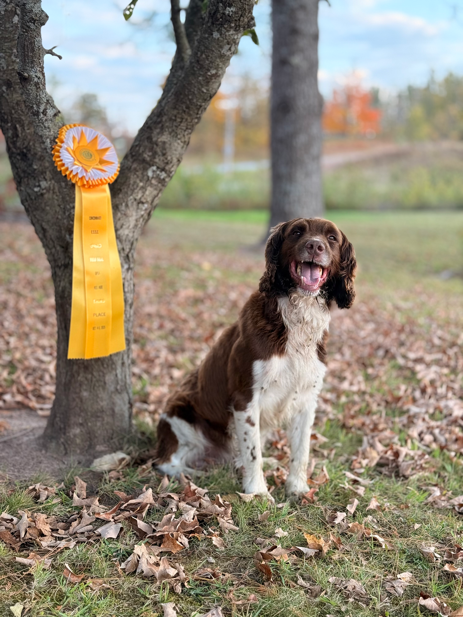 Chance with 3rd place ribbon