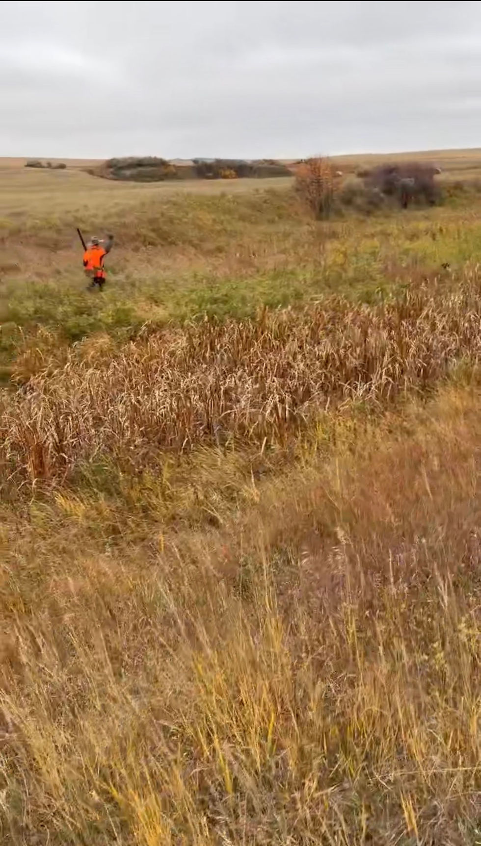 Cowan hunting with his dog Sarge in the Montana Prairie