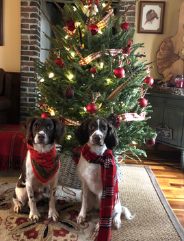 Merry Christmas Y'all!!