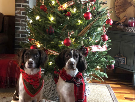 Merry Christmas Y'all!!