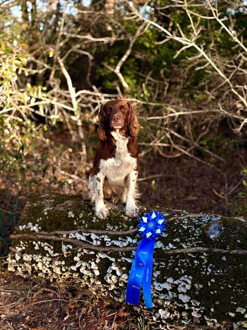 Two talented Dudley sons are recognized for their placements at the Stillwater Field Trial, with Chance earning first place and Simon earning fourth.
