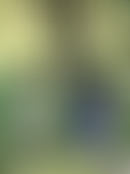 Celebrating Open Canadian Placements with Martin and Whiskey