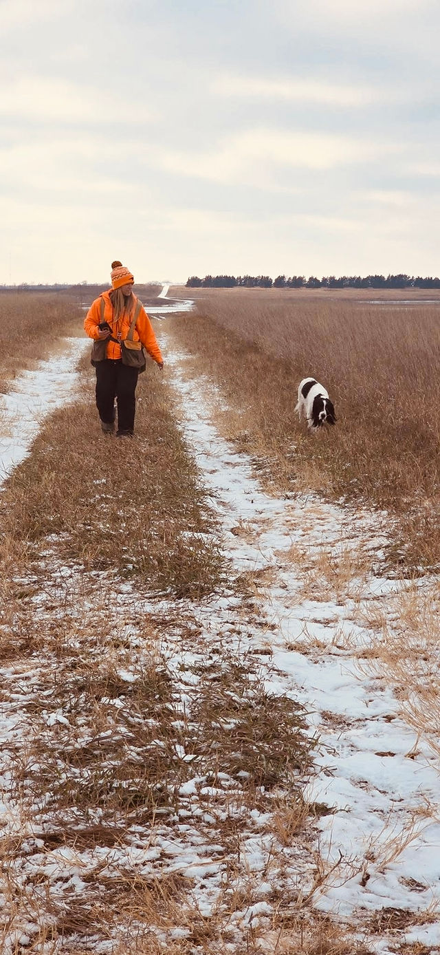 Bridget and Clyde the 15 yr old springer