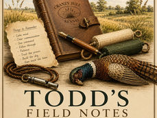 Todd's Field Notes