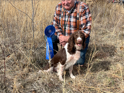  Spaniel Field Trials: A Look at Their Impressive Placements in the field.
