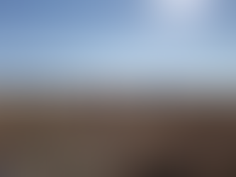 U.S. National Open Results