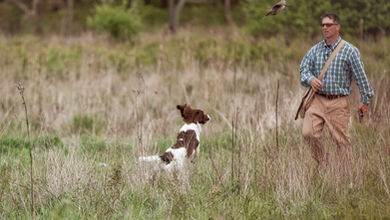 springer spaniel flushing a bird with Todd Agnew