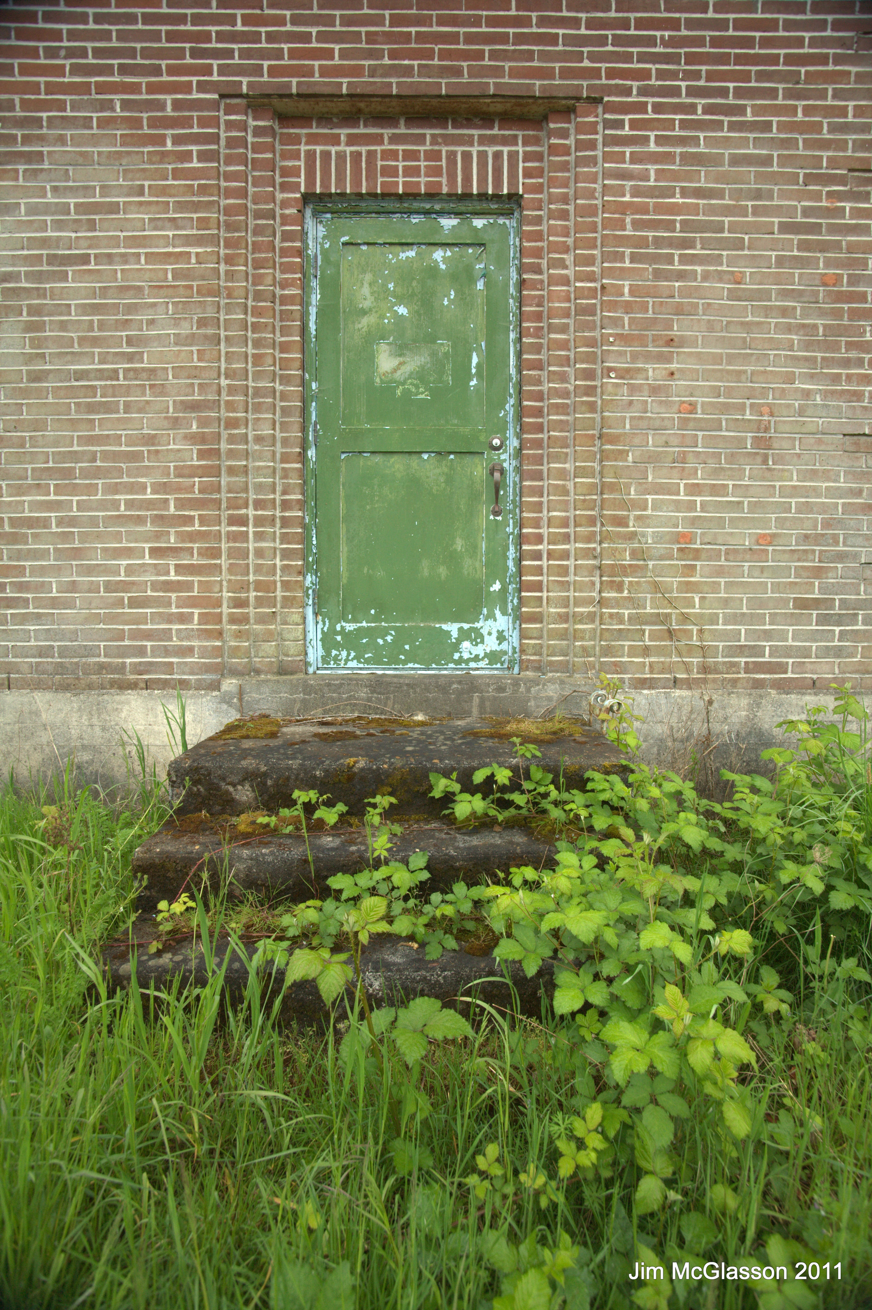 Jim McGlasson Color Shot