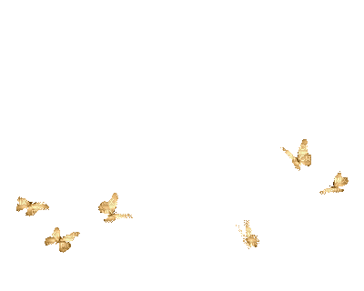 papillon or.gif