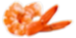 crevette-de-cortique_burned (1).png