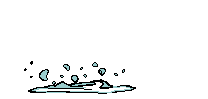 poisson1.gif