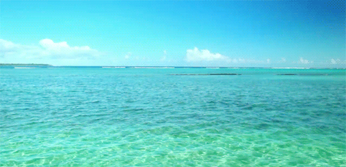 OCEAN.gif